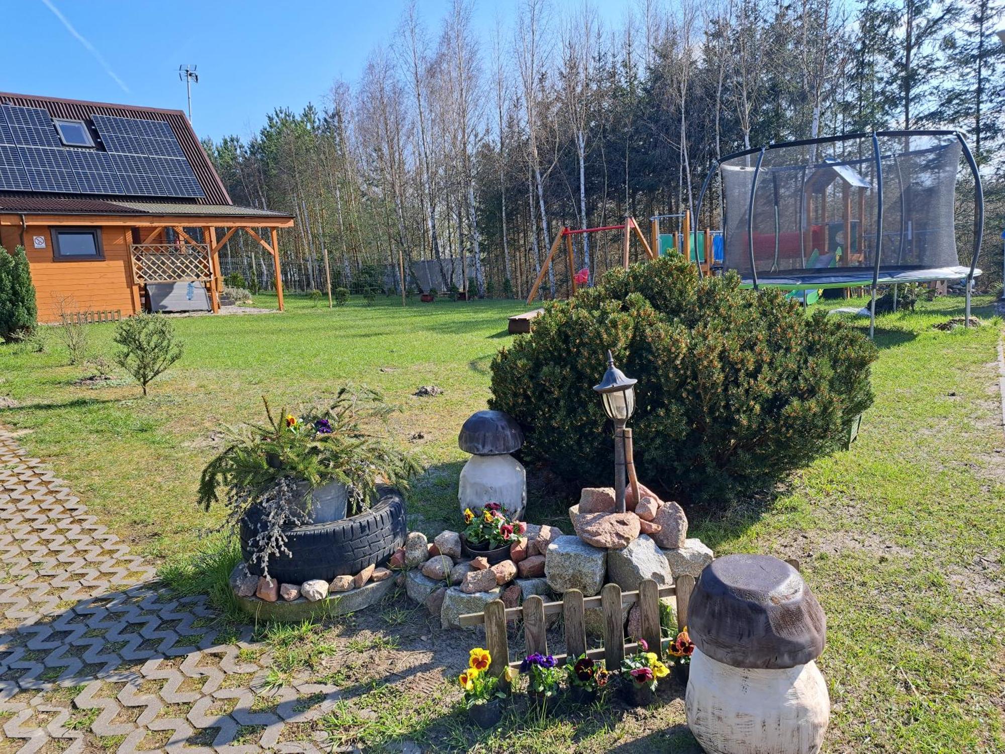Borowiackie Nad Brzegiem Jeziora *
